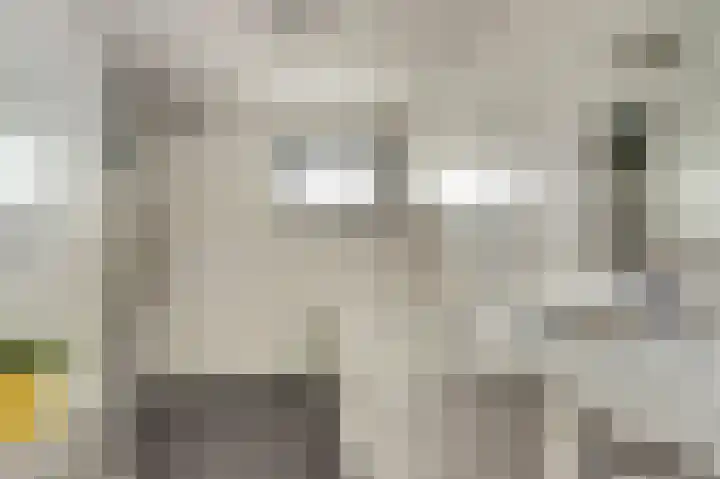 Buitensingel 54 Sappemeer thumbnail 31