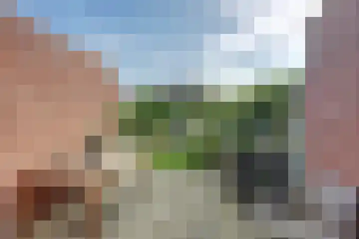 Buitensingel 54 Sappemeer thumbnail 33