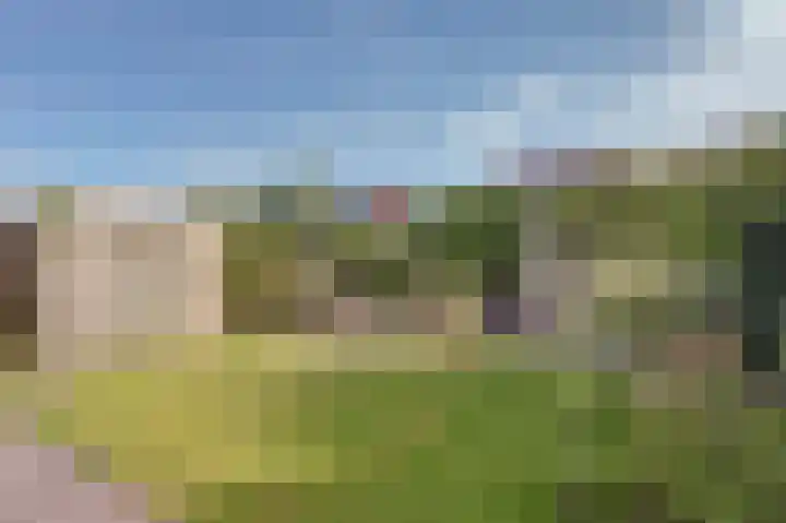 Buitensingel 54 Sappemeer thumbnail 34