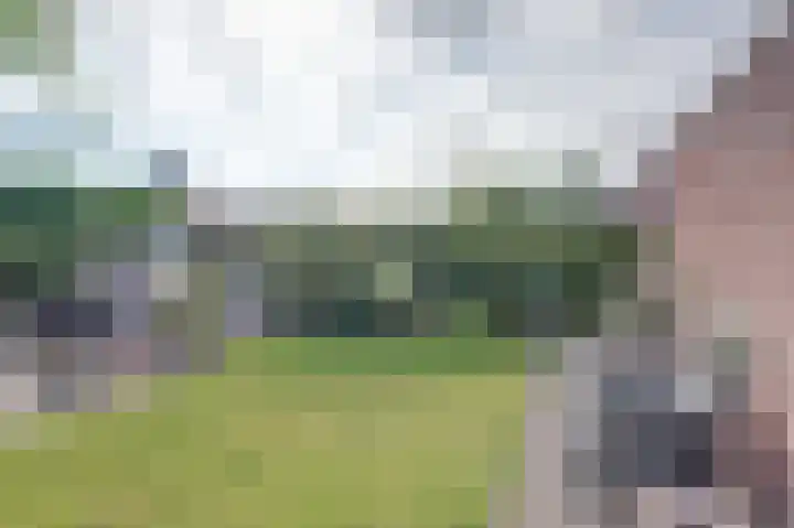 Buitensingel 54 Sappemeer thumbnail 35