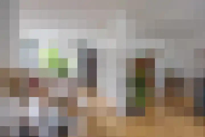 Buitensingel 60 Oldehove thumbnail 12