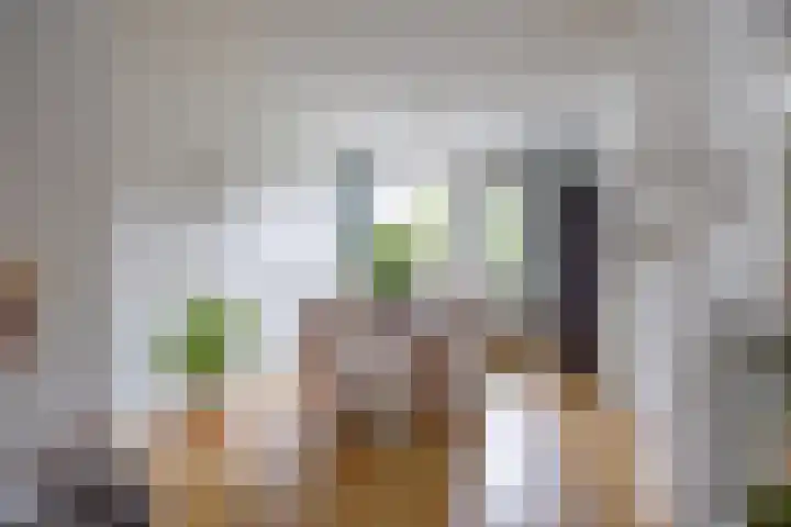 Buitensingel 60 Oldehove thumbnail 13