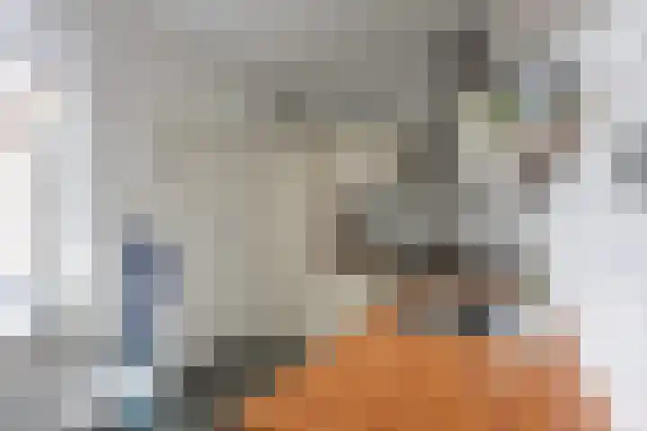 Buitensingel 60 Oldehove thumbnail 19