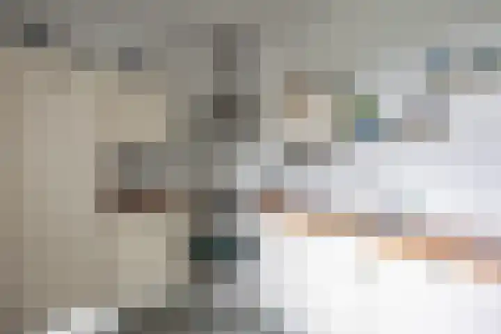 Buitensingel 60 Oldehove thumbnail 20