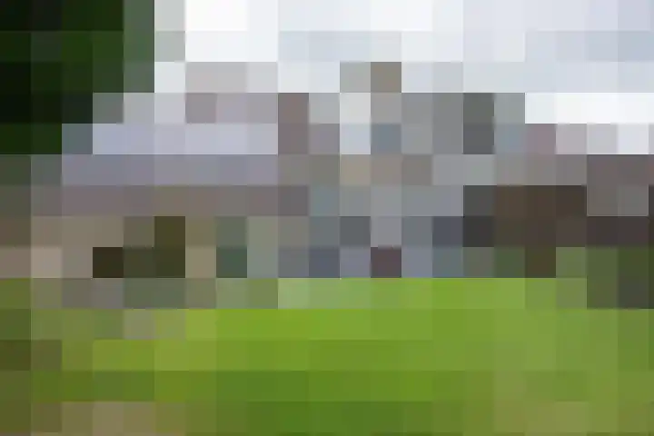 Buitensingel 60 Oldehove thumbnail 7