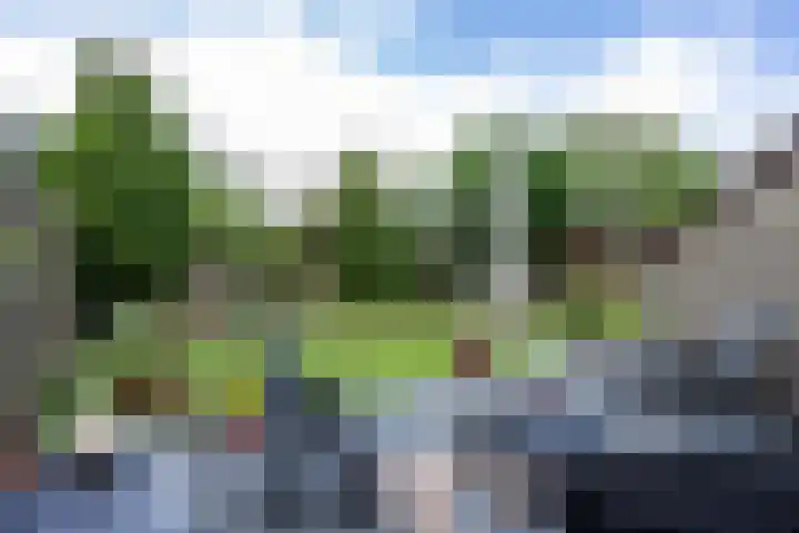 Buitensingel 60 Oldehove thumbnail 8