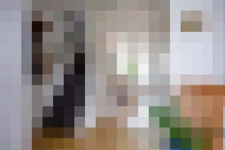 Buitensingel 60 Oldehove thumbnail 9