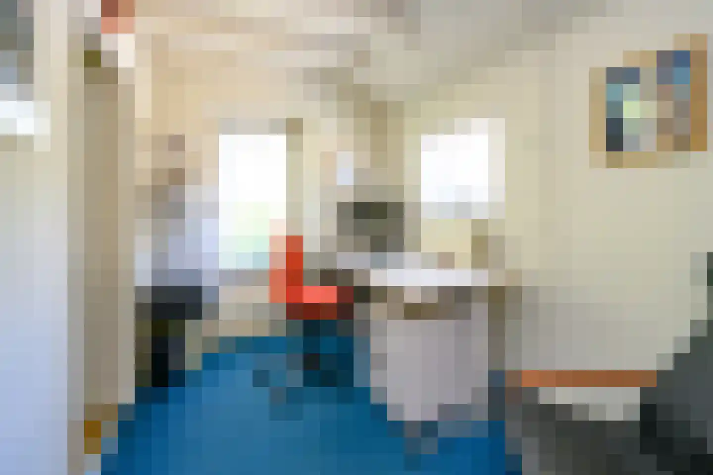 Buitensingel 62 Ellecom thumbnail 11