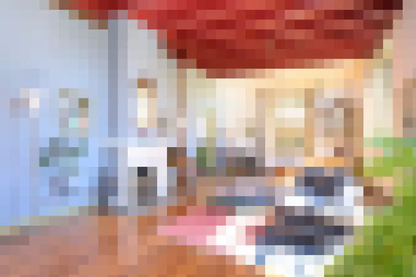 Buitensingel 62 Ellecom thumbnail 14