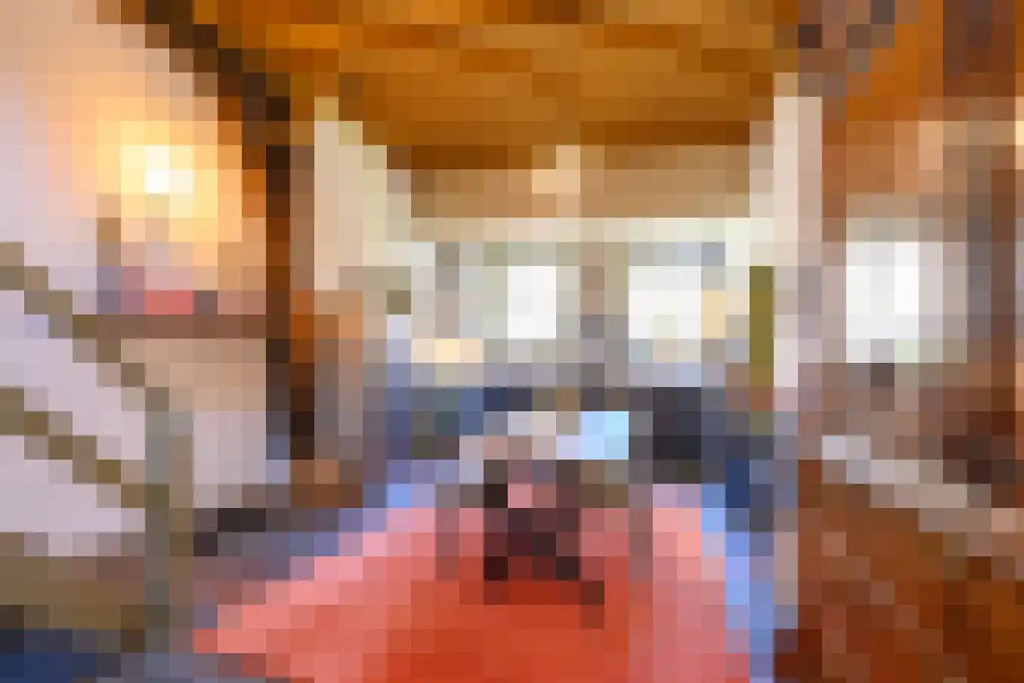 Buitensingel 62 Ellecom thumbnail 15