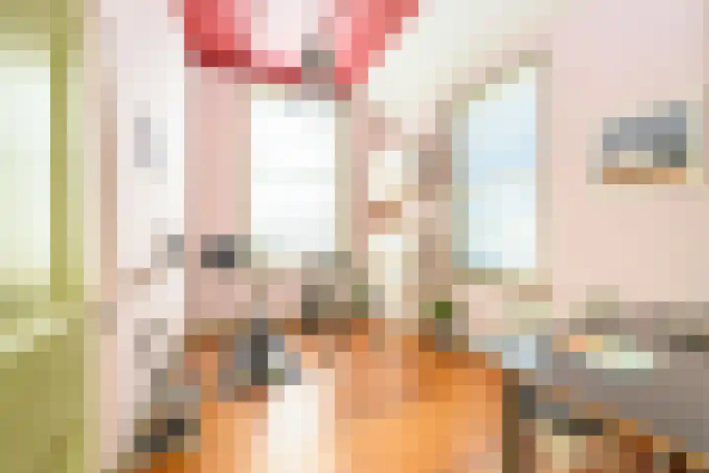 Buitensingel 62 Ellecom thumbnail 17