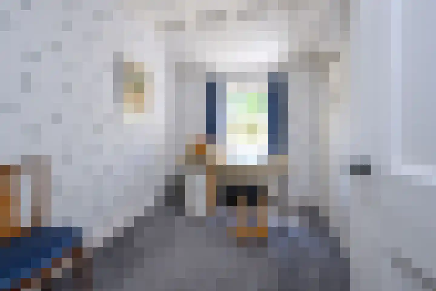 Buitensingel 62 Ellecom thumbnail 18