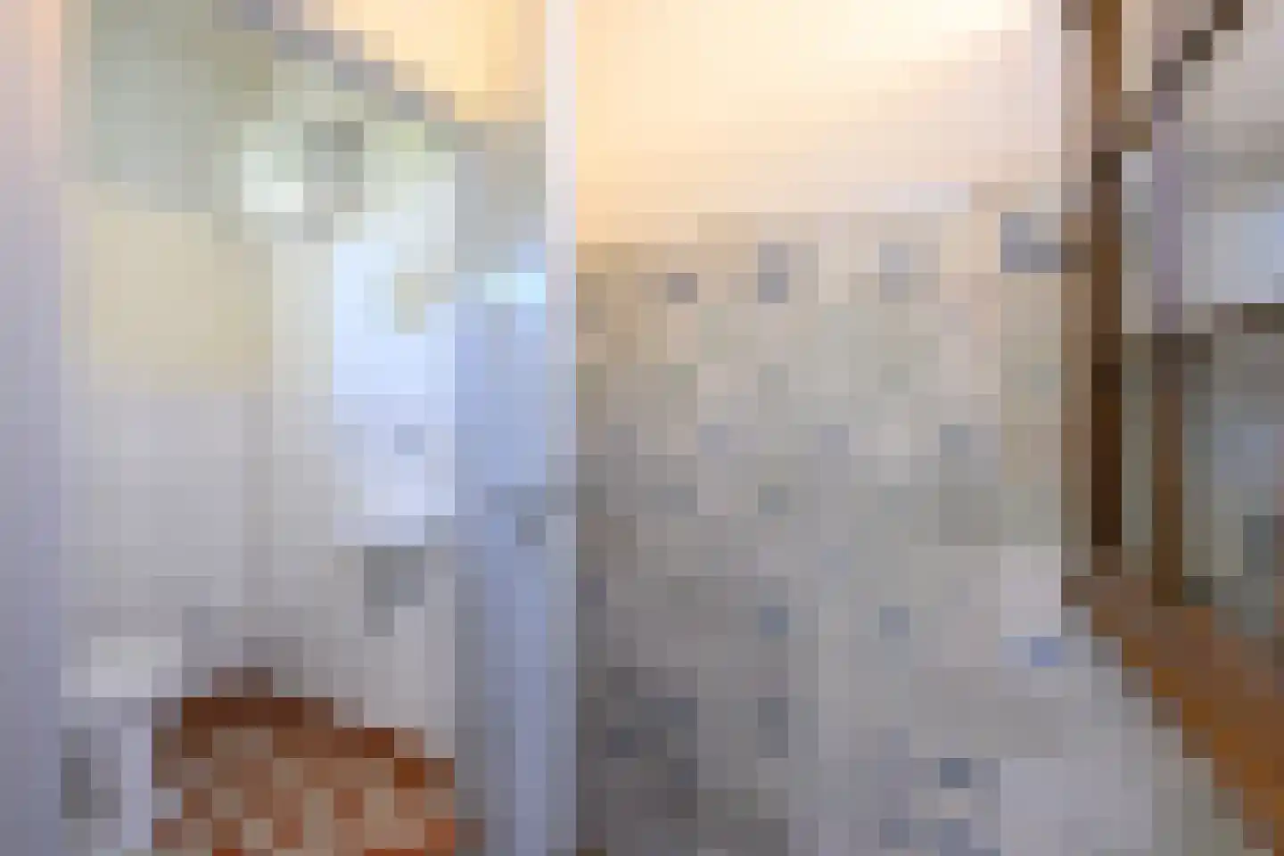 Buitensingel 62 Ellecom thumbnail 19