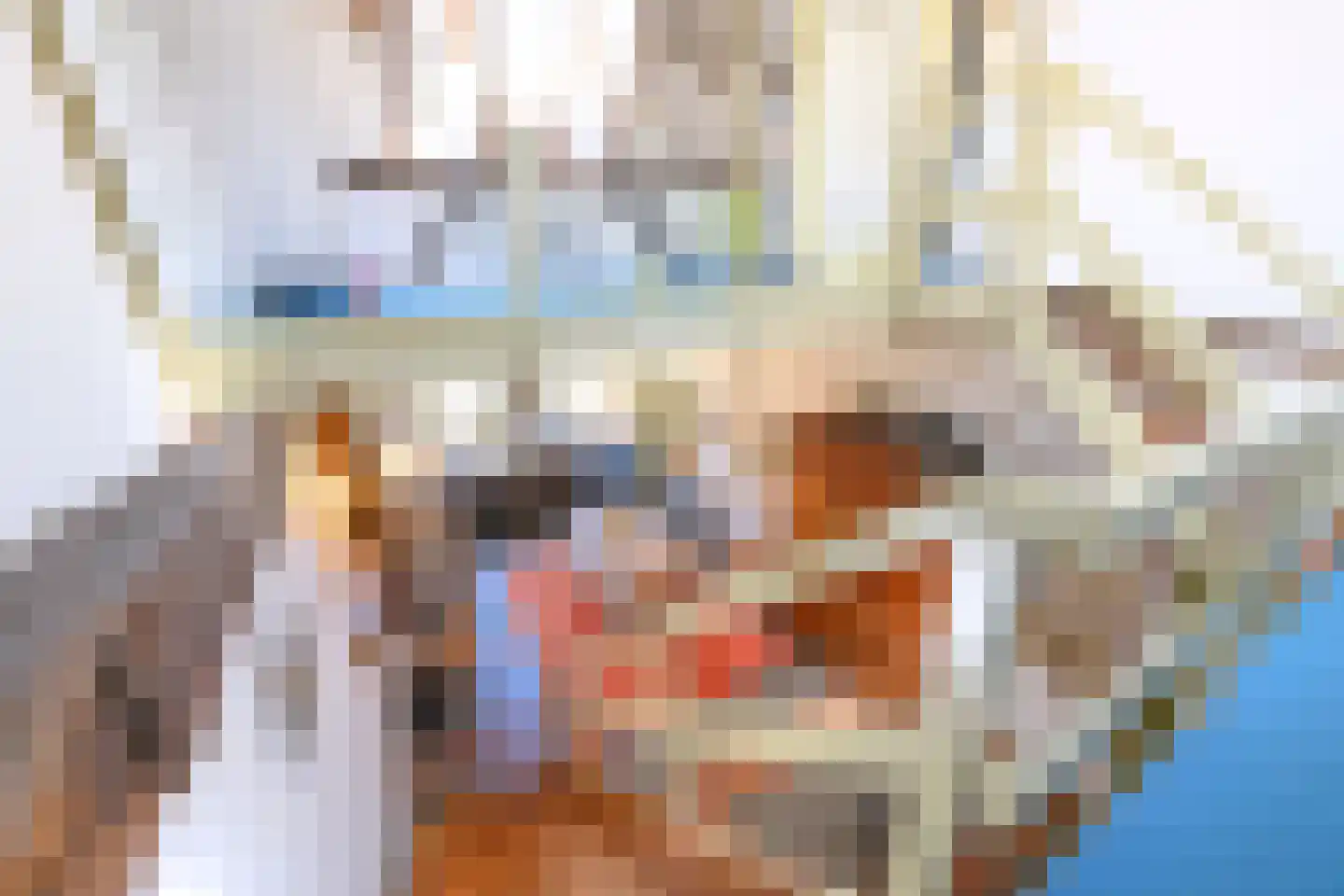 Buitensingel 62 Ellecom thumbnail 20