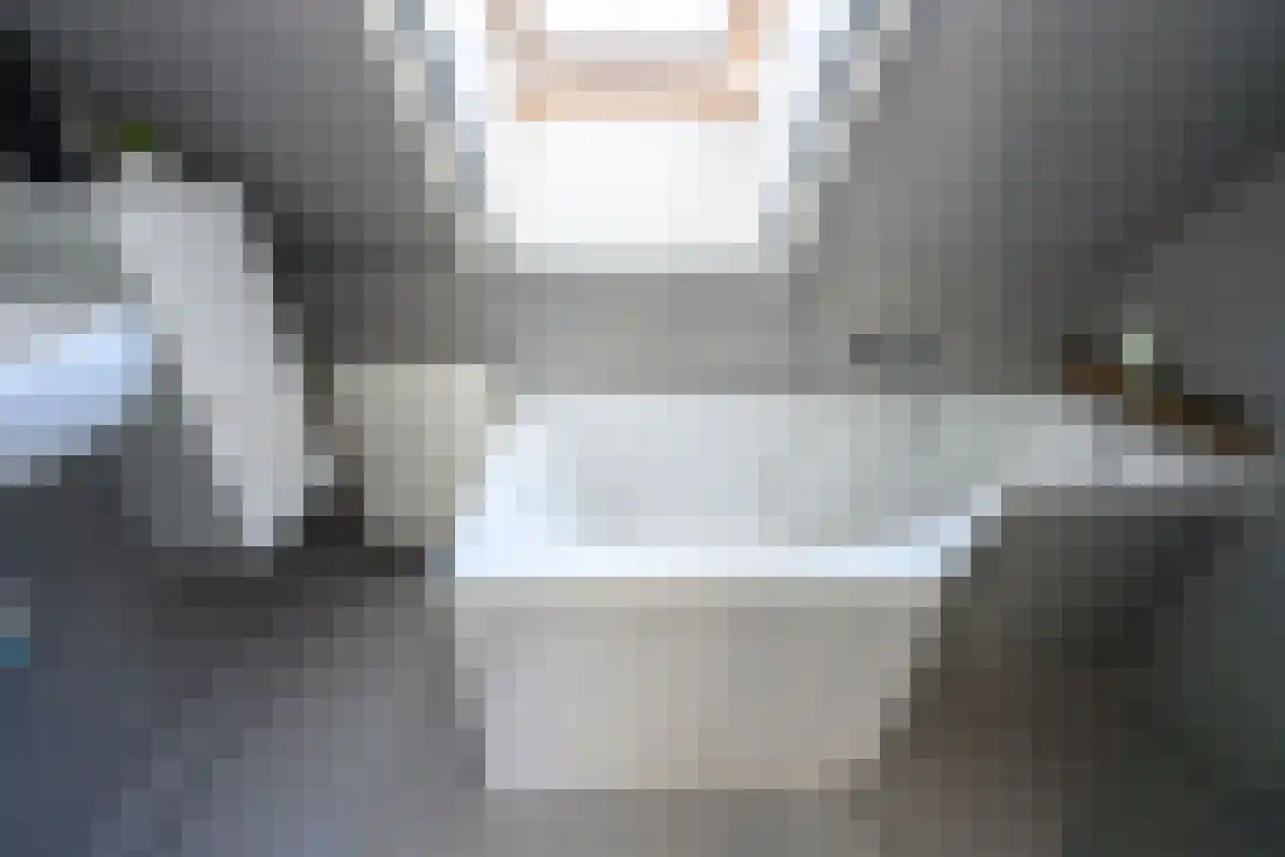 Buitensingel 62 Ellecom thumbnail 26