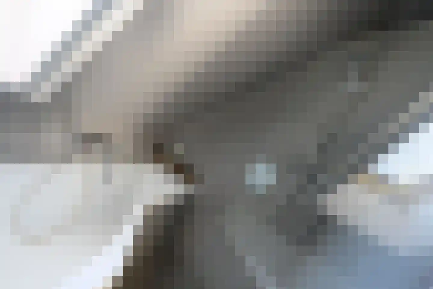 Buitensingel 62 Ellecom thumbnail 27