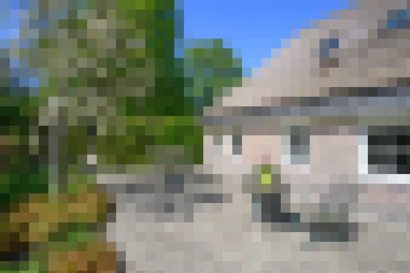 Buitensingel 62 Ellecom thumbnail 34