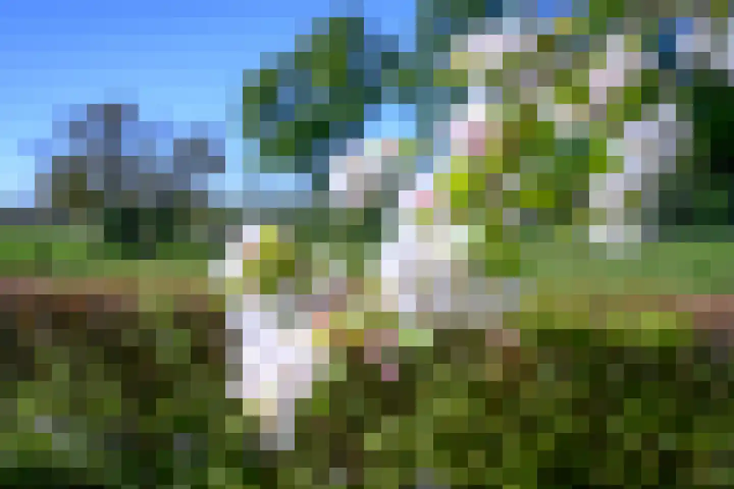 Buitensingel 62 Ellecom thumbnail 35
