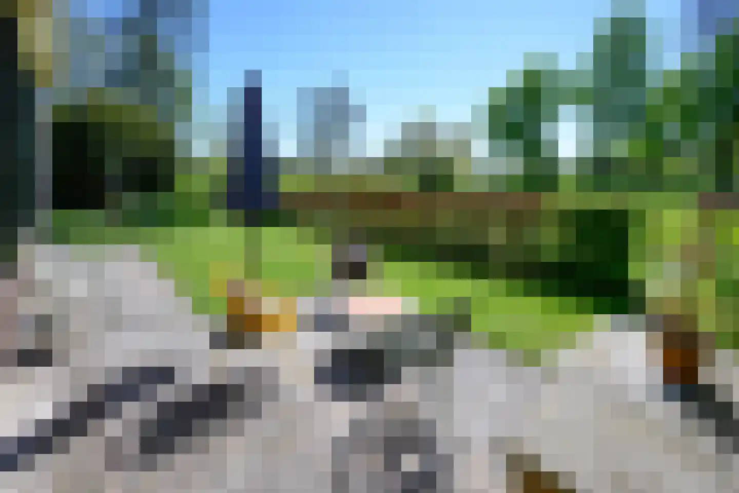 Buitensingel 62 Ellecom thumbnail 37