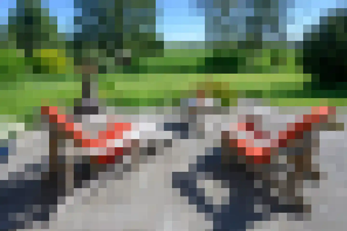Buitensingel 62 Ellecom thumbnail 4