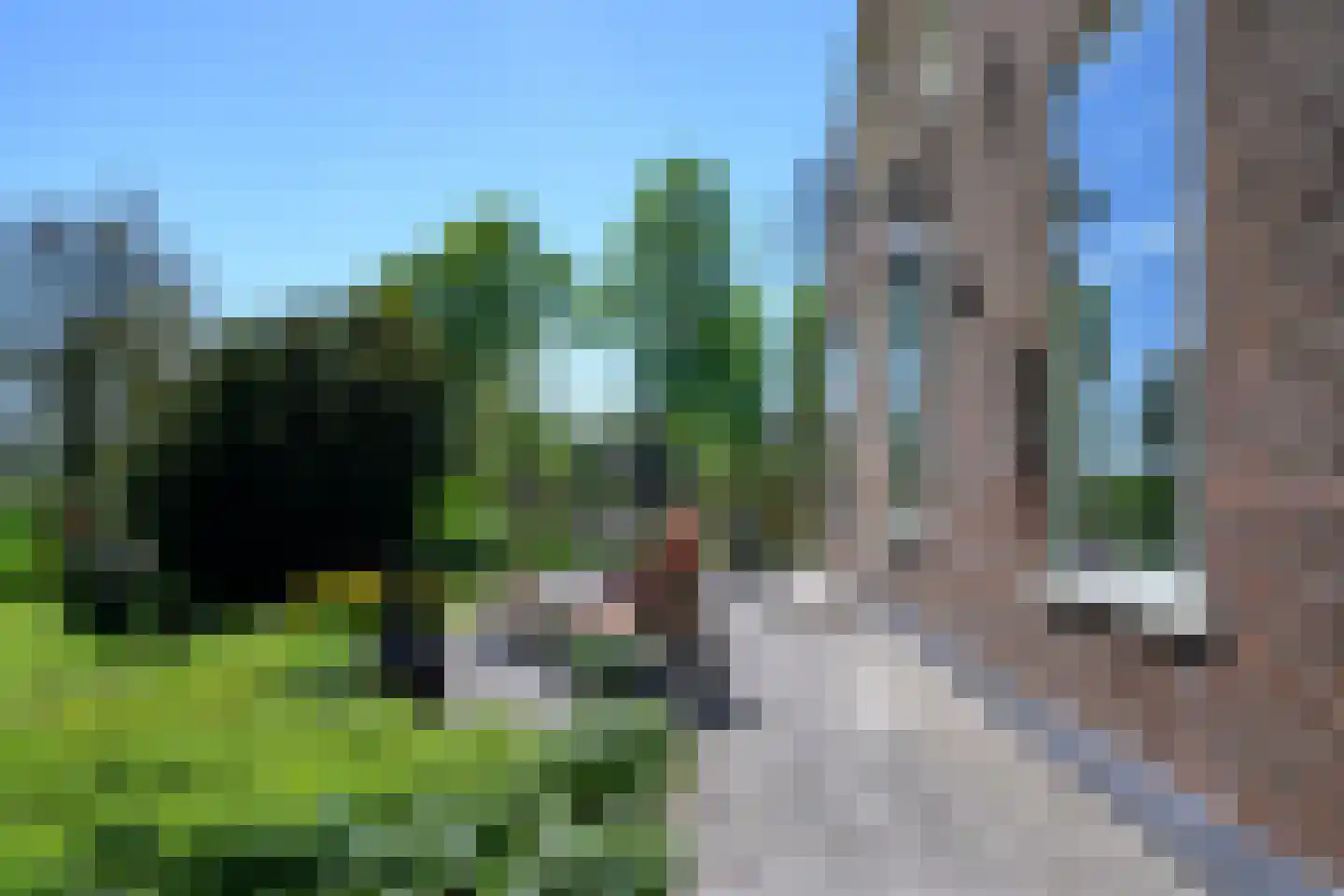 Buitensingel 62 Ellecom thumbnail 44