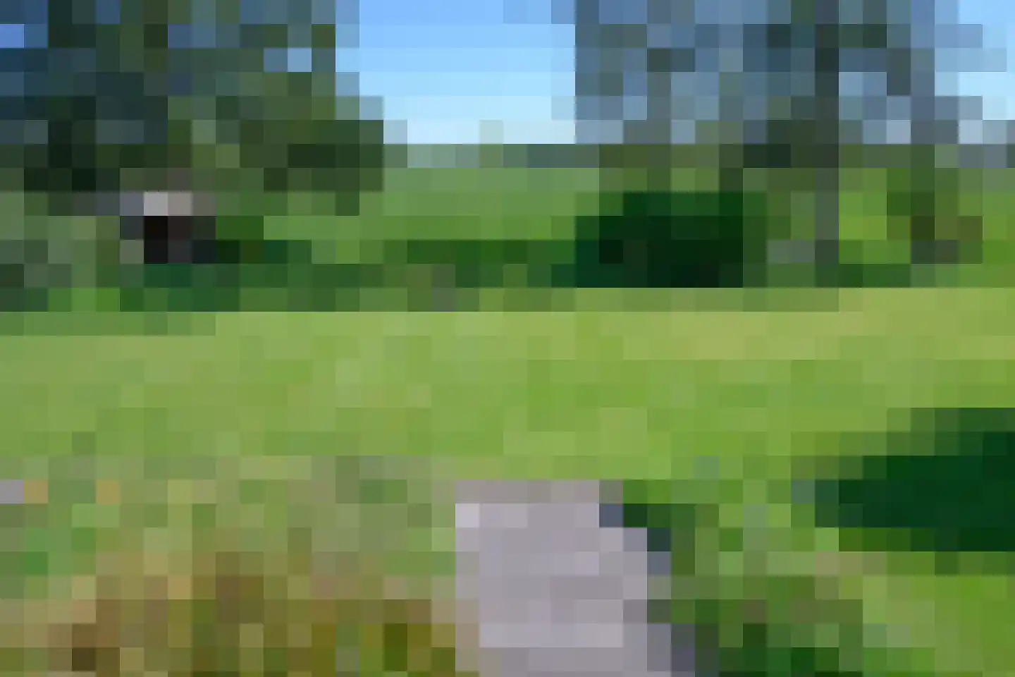 Buitensingel 62 Ellecom thumbnail 45