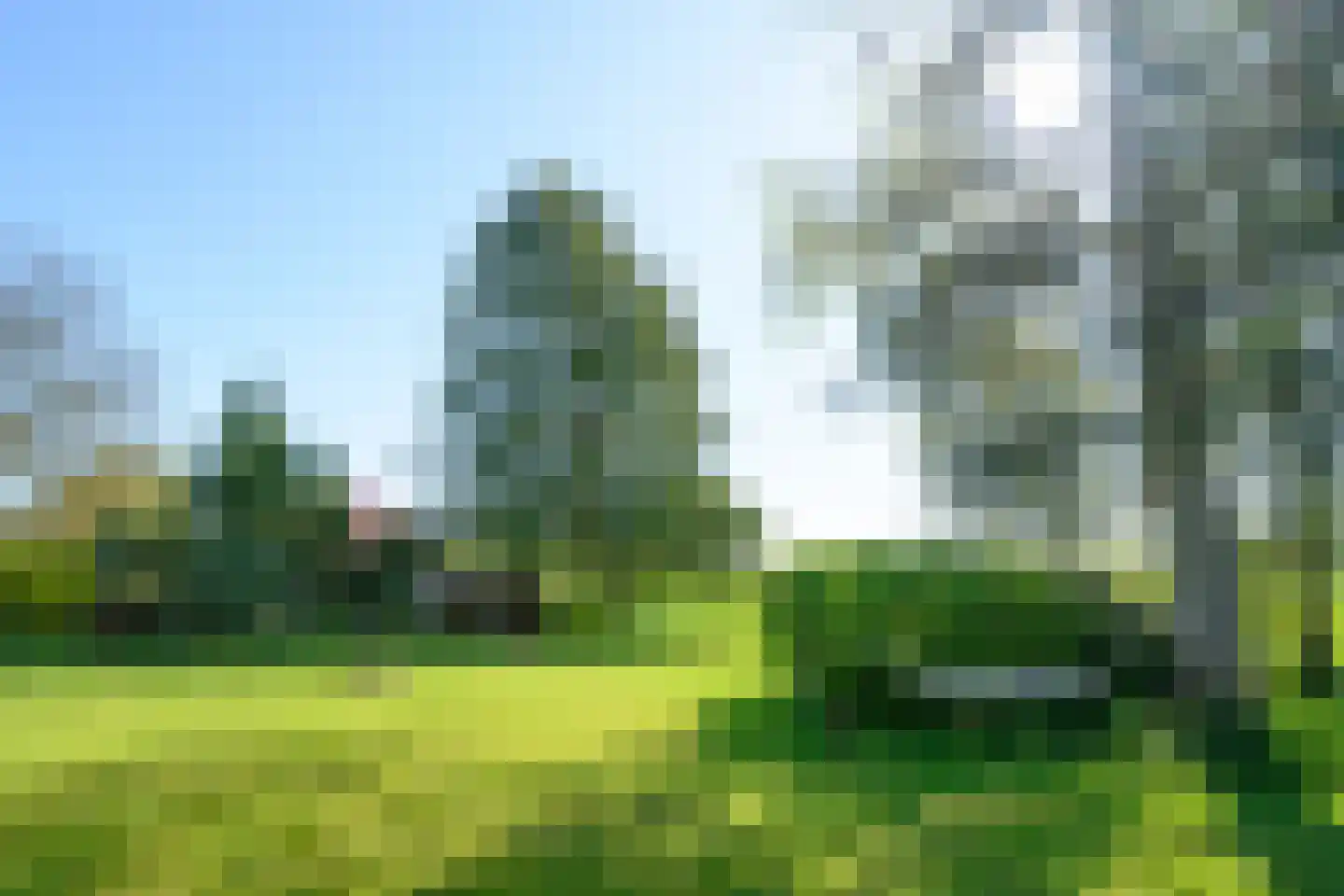 Buitensingel 62 Ellecom thumbnail 46