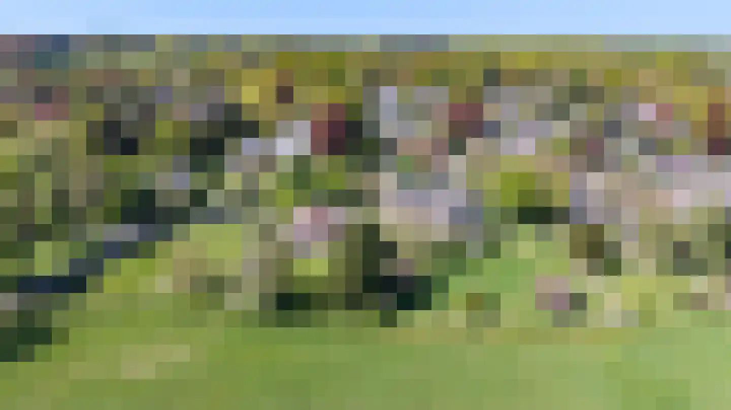 Buitensingel 62 Ellecom thumbnail 58