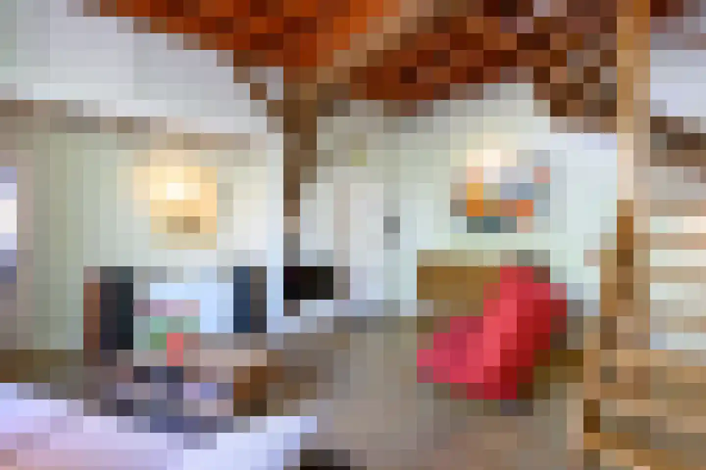 Buitensingel 62 Ellecom thumbnail 7