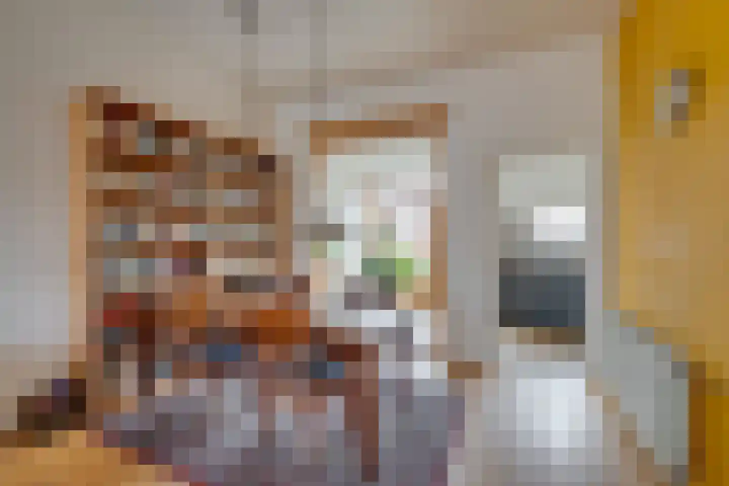 Buitensingel 66 Zutphen thumbnail 11