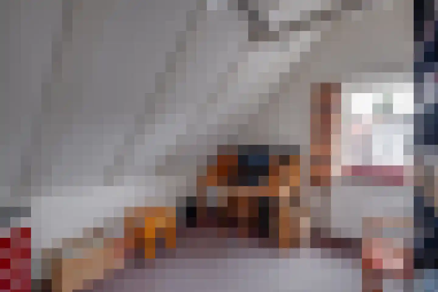 Buitensingel 66 Zutphen thumbnail 35