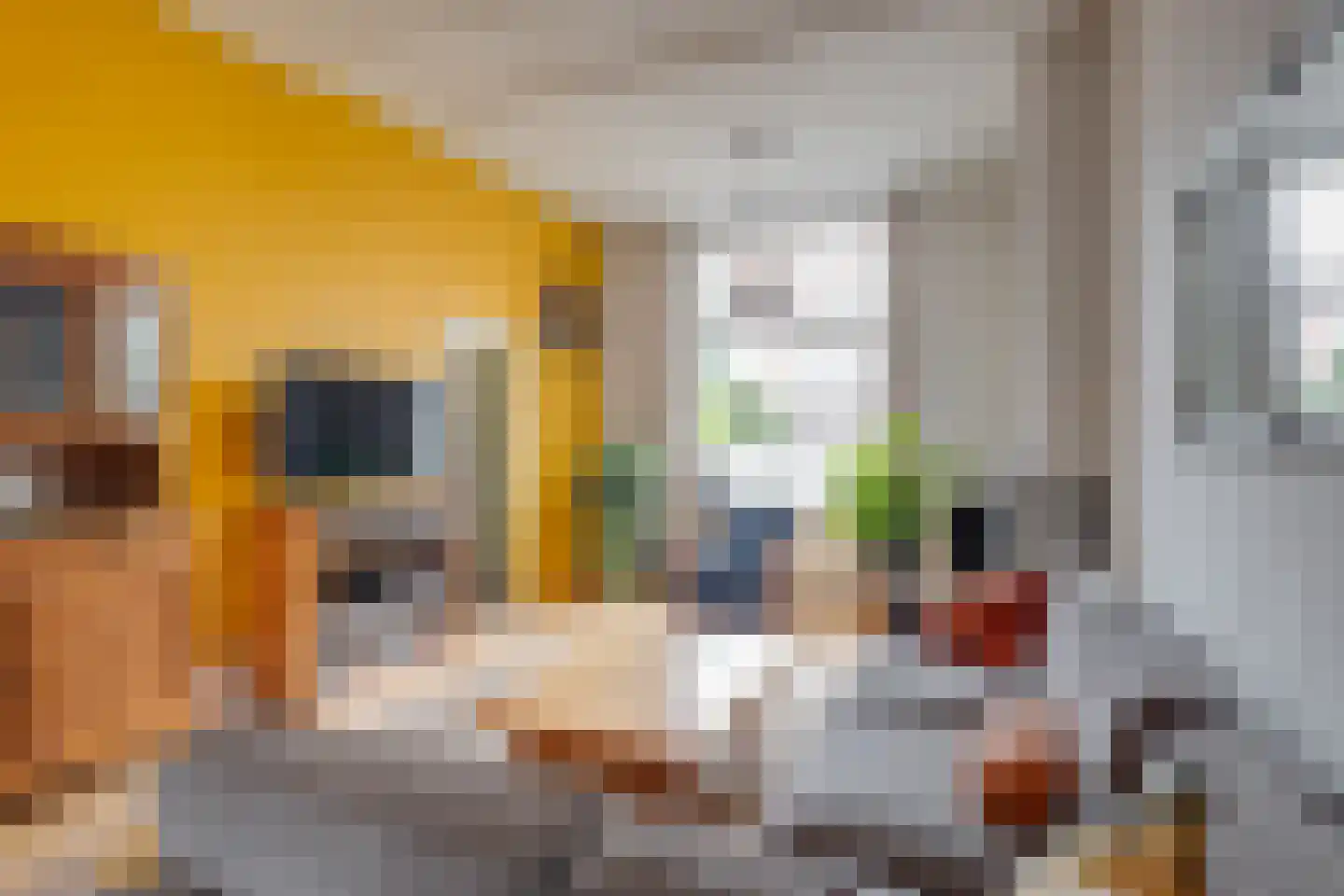Buitensingel 66 Zutphen thumbnail 8