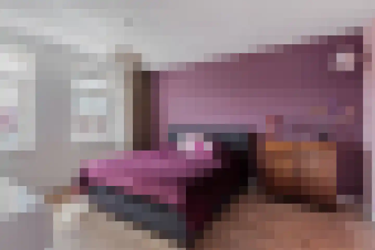 Buitensingel 7 Borne thumbnail 14