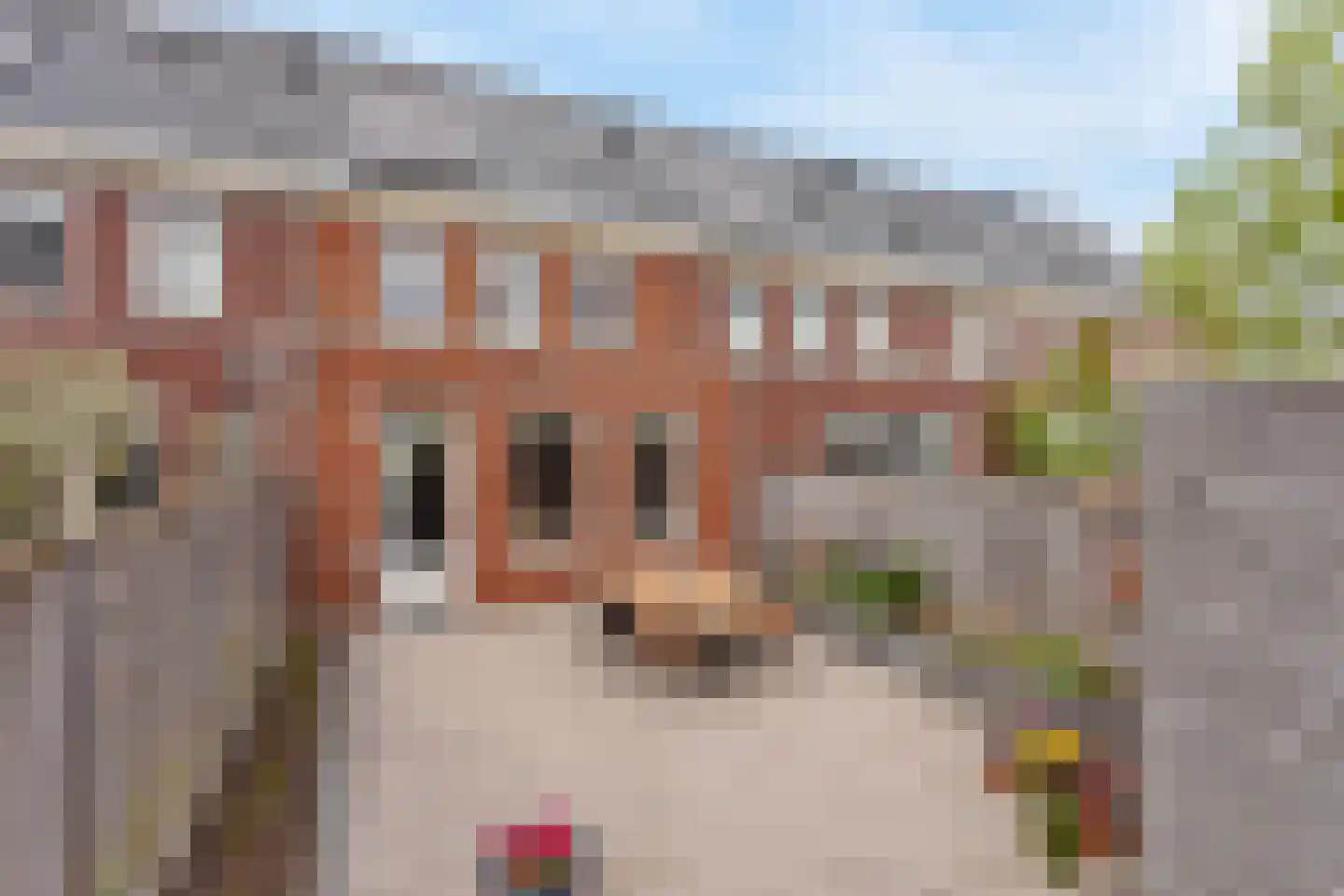 Buitensingel 7 Borne thumbnail 21