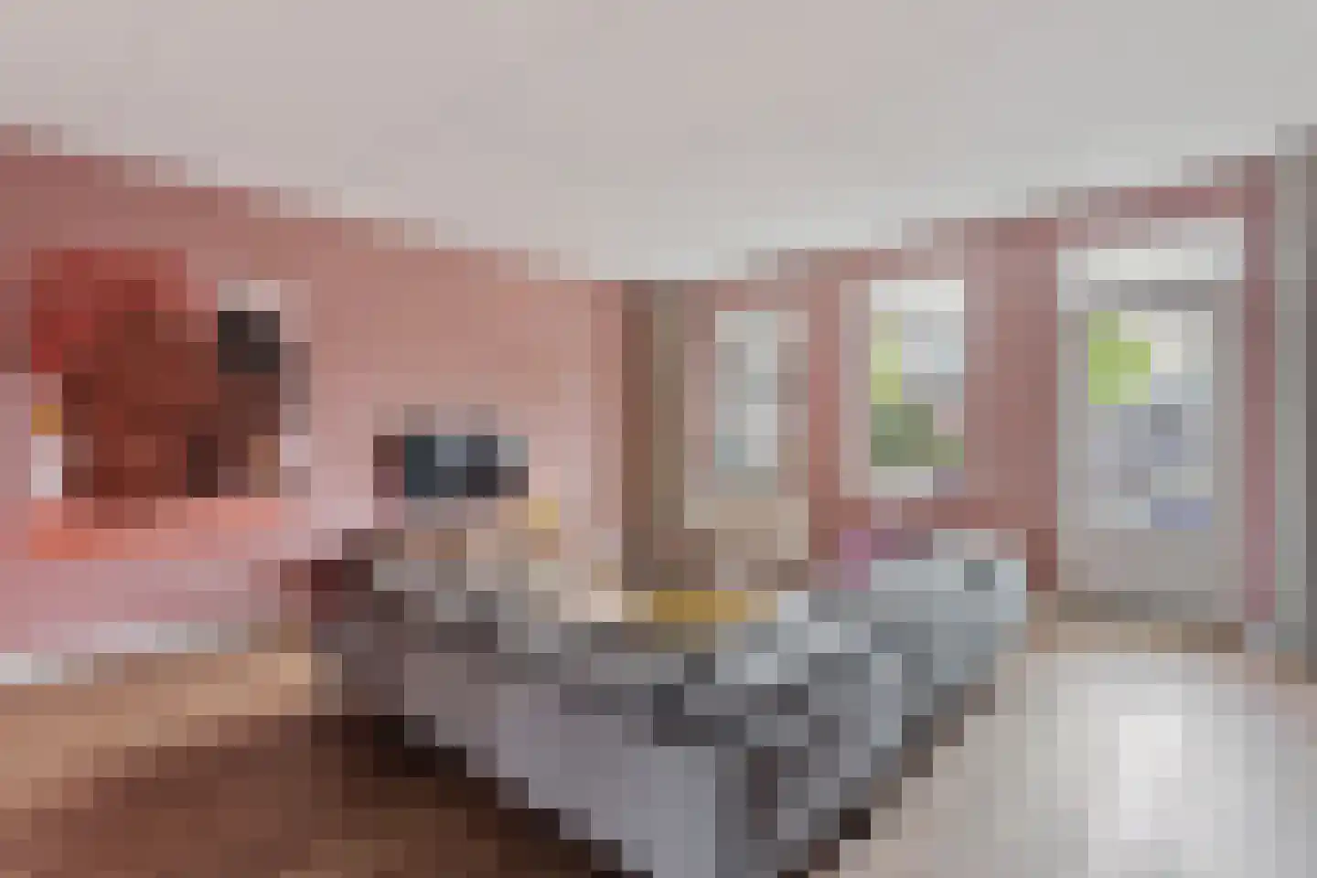 Buitensingel 7 Borne thumbnail 8
