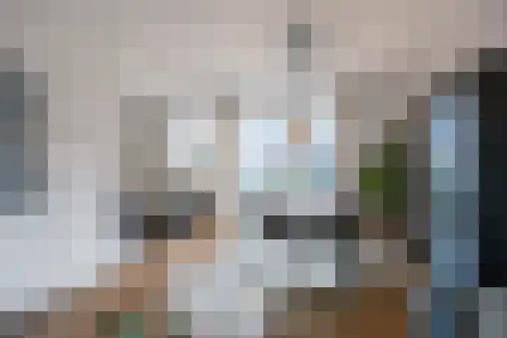Buitensingel 71 Oldehove thumbnail 14