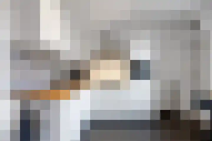Buitensingel 71 Oldehove thumbnail 16