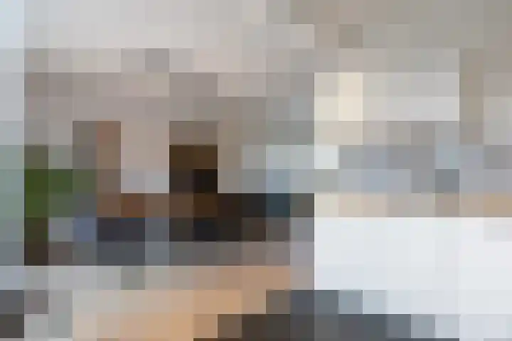 Buitensingel 71 Oldehove thumbnail 18