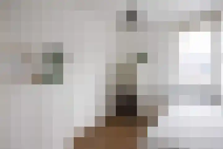 Buitensingel 71 Oldehove thumbnail 23