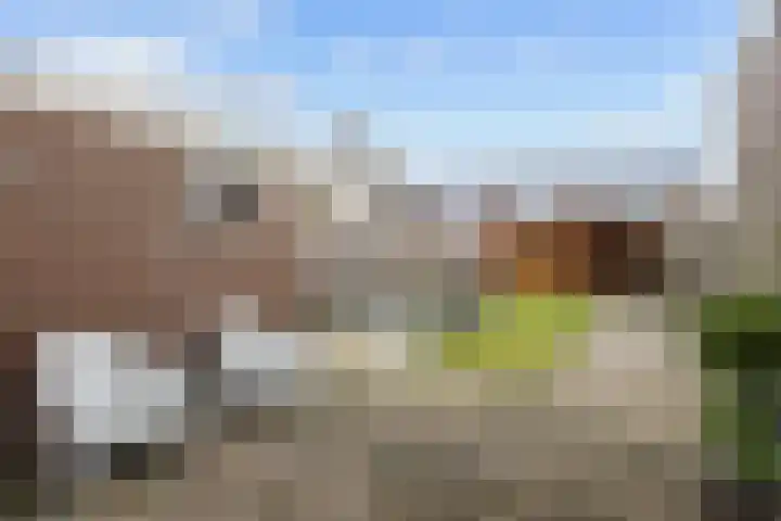 Buitensingel 71 Oldehove thumbnail 29