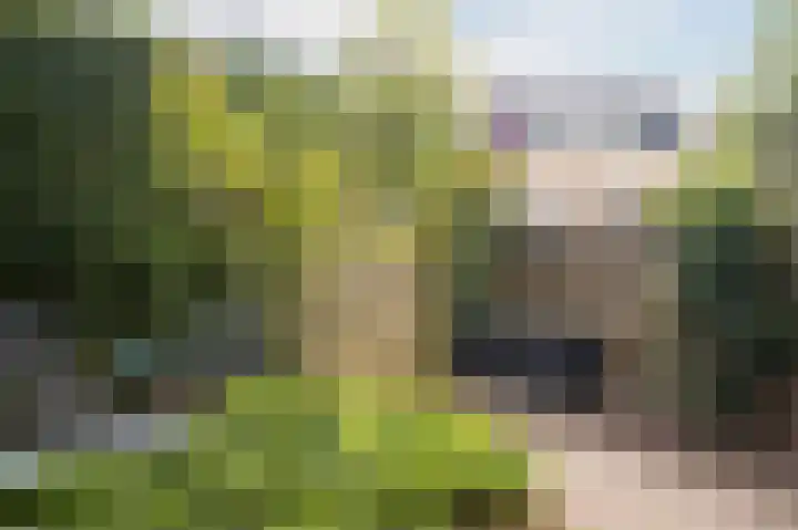 Buitensingel 78 Zutphen thumbnail 32