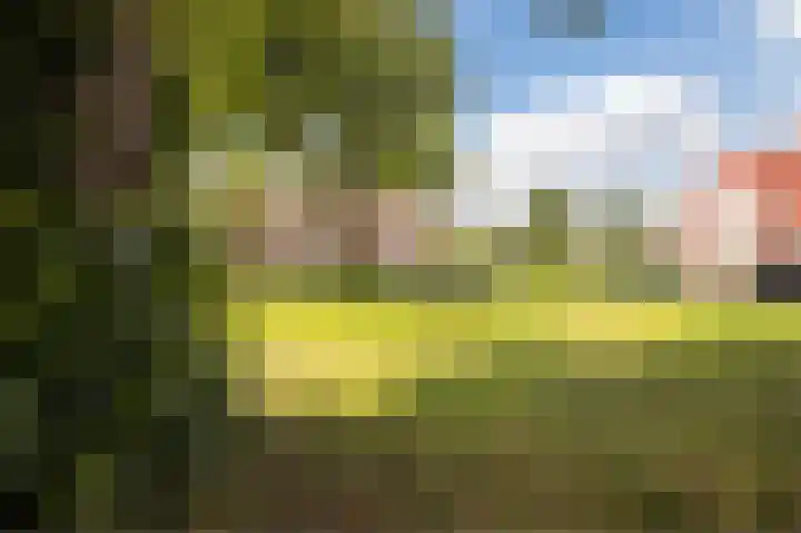 Buitensingel 78 Zutphen thumbnail 34
