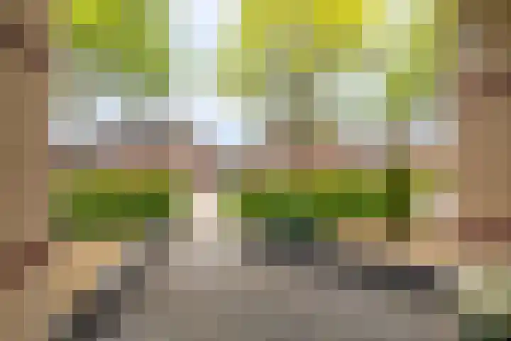Buitensingel 79 Sappemeer thumbnail 11