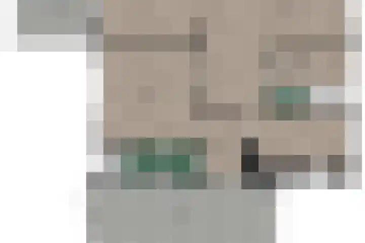 Buitensingel 79 Sappemeer thumbnail 13