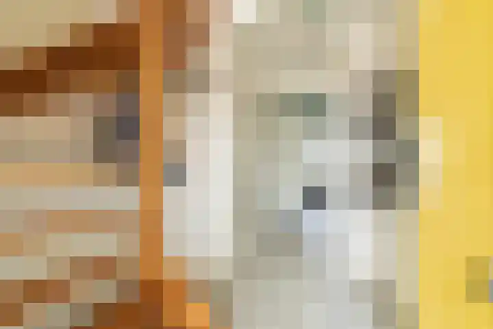 Buitensingel 79 Sappemeer thumbnail 14
