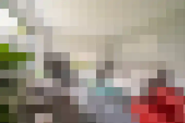Buitensingel 79 Sappemeer thumbnail 20