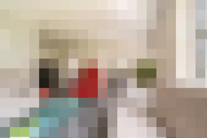 Buitensingel 79 Sappemeer thumbnail 22