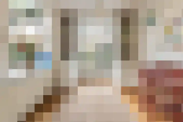Buitensingel 79 Sappemeer thumbnail 26