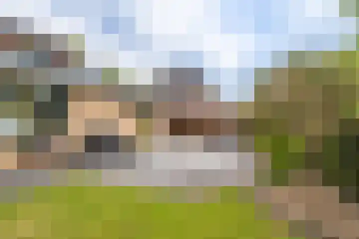 Buitensingel 79 Sappemeer thumbnail 28