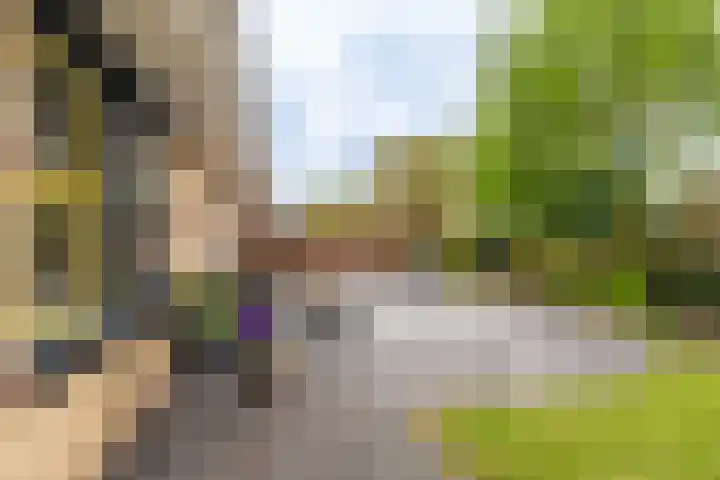 Buitensingel 79 Sappemeer thumbnail 29